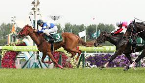La pioggia bagnava i suoi capelli bicolore. ãƒ¬ãƒ¼ã‚¹ã«ã¤ã„ã¦ è'µã‚¹ãƒ†ãƒ¼ã‚¯ã‚¹ ä»Šé€±ã®æ³¨ç›®ãƒ¬ãƒ¼ã‚¹ Jra