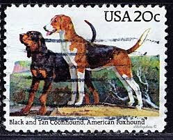 Black And Tan English Foxhound Usa Dogs Black Tan Coonhound American Foxhound Scott 2101 A1486 Issued 1984 Sept 7 Pho Pet Birds The Fox And The Hound American Foxhound
