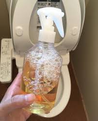 トイレブラシはもういらない 週1の掃除でもキレイを保てる理由って 丁寧な暮らしを楽しむ木の家つくり sumai 日刊住まい お掃除の裏技 お掃除 トイレブラシ