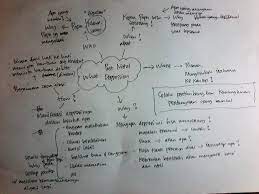 Contoh artikel saya ini masi banyak kurangnya :d writing lecturer: Membuat Outline Tulisan Dengan Bantuan Rumus 5w 1h Carolina Ratri