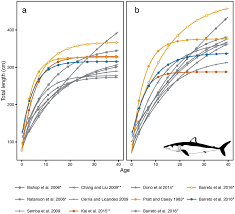 The Estimated Growth Curve Of The Shortfin Mako Shark A