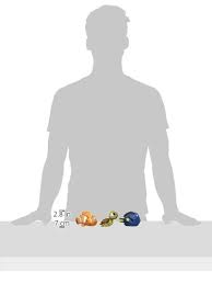 Shop for finding nemo toy characters online at target. The First Years Disney Baby Bath Squirt Toys Finding Nemo By The First Years Amazon De Spielzeug