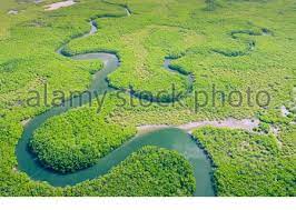 Maybe you would like to learn more about one of these? Aerial View Of Amazon Rainforest In Brazil South America Green Forest Bird S Eye View Stock Photo Alamy