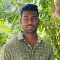 500+ "The Albert" profiles