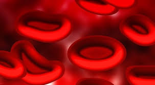 Mcv Alto Cause E Analisi Volume Cellulare Medio