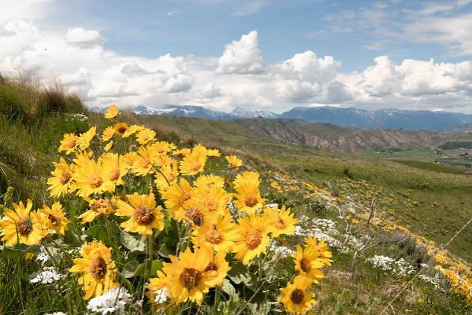 2026 Nature Lover's Guide: Best Things to do in Wenatchee - Your  Northwestie Bestie