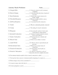 David lendvai department of anatomy, histology and embriology. 6 Best Printable Worksheets Muscle Anatomy Printablee Com