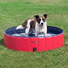 20 genius things every cat owner needs from amazon. Amazon Com Expawlorer Foldable Dog Swimming Pool Portable Pvc Pet Bathing Tub For Outdoor Yard Dog Whelping Box Dog Pool Dog Swimming Pools Puppy Pool