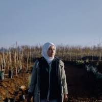 1500+ "Assaf" profiles