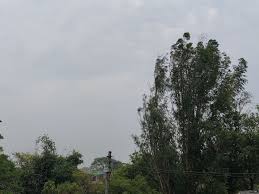 कानपुर देहात में मौसम बदला,24 घंटे में बारिश का अनुमान: तेज हवाएं, घने बादल छाए; 70-80 किमी/घंटा की रफ्तार ...