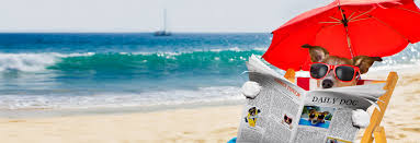 Today, the dog days of summer occur during the period between july 3 and august 11. Dog Days Of Summer What S That All About