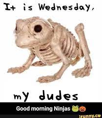 Dudes My Good Morning Ninjas Ifunny Halloween Funny Funny Pictures Memes