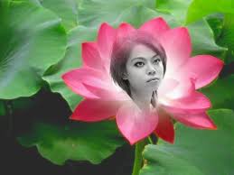 Image result for tbn:cRxpWML3C6TQFM::farm3.static.flickr.com/2382/2420623259_e3c8cd4fd8.jpg