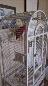 My sweet Peachy girl. She melts me....