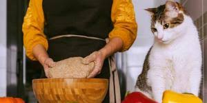 Yes, it is as adorable as it sounds and you can see it for yourself in the photos below. Homemade Birthday Cakes For Cats 3 Easy Delicious Recipes