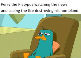 Those Tears Memes Phineas And Ferb Memes Phineas And Ferb Memes