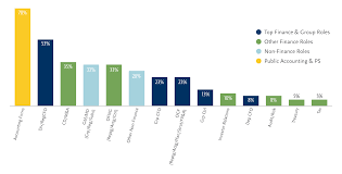 South african market's assets and inconvenients, foreign direct investments (fdi) inward flow, main investing countries and privileged sectors for the strong increase in the last few years is mainly due to intercompany financing and equity inflows. South Africa Cfo Route To The Top