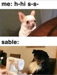 Just A Lovely Bunch Of Animal Crossing Memes Comics Funny Memes Animal Crossing Memes Dog Memes