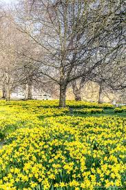 15 Spring Gardens You Have To Visit In Britain The Best Of The Season Spring Garden London Park Spring Landscape