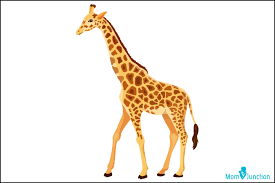 How to draw a giraffe step by step | how to draw a giraffe for kidsi show you how to draw a giraffe easy and step by step. How To Draw A Giraffe An Easy Step By Step Tutorial