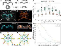 Selectionnez un fabricant corgi ixo minichamps spark trofeu truescale. 29th Annual Computational Neuroscience Meeting Cns 2020 Bmc Neuroscience X Mol
