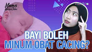 Vermixpro, obat cacing untuk burung berkicau smart mastering via www.smartmastering.com. Apakah Bayi Boleh Minum Obat Cacing Youtube