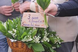 1 photo + texte perso. French Input Alice Ayel