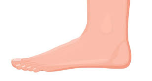 Outside Foot Pain Symptoms Causes Treatment Rehabilitation