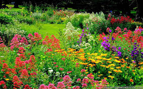 Add a background with garden flowers and choose your animation from various flower like roses, sunflower and others. Free Download Beautiful Flower Garden Wallpapers Download Dr6 Pretty Wallpapers Hd 1920x1200 For Your Desktop Mobile Tablet Explore 49 Garden Wallpaper Free Download Betty Boop Wallpapers Free Download Windows