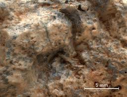 Evidence Of A Continental Crust On Mars Suggests It Had Tectonic Activity Mars Rover Nasa Mars Mars