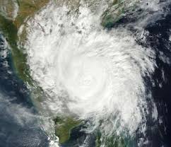 Omg is it true ? Kerala On High Alert For Cyclone Burevi Vijayan Menafn Com