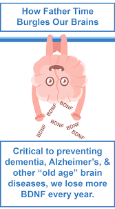 Learn early about how to prevent alzheimer's. Bdnf How Meditation May Prevent Alzheimer S Dementia Eoc Institute