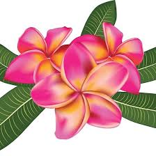 Pink Plumeria With Leaves By Annartshock Flower Drawing Flower Painting Plumeria Flowers