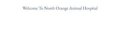 You can learn more about our veterinary options at the links below. North Orange Animal Hospital Apopka Vet For The 35 Years
