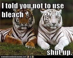 I Told You Not To Use Bleach Shut Up Funny Animal Quotes Funny Animals Cute Funny Animals