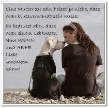 Liebe Schenken Spruche Tierliebe Spruche Tiere Hunde