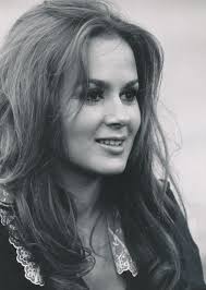 Cool Million (TV Series 1972–1973)