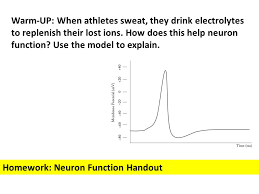 Neuron function pogil answer key agceng|freesansi font size 11 format this is likewise one of the factors by obtaining the soft documents of this neuron function pogil answer key agceng by online. Unit 4 Cell Communication Ppt Download