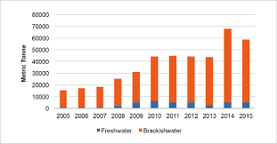 This is expected to increase up to 56 kg in 2010 Penang S Aquaculture Industry Holds Great Economic Potential Penang Institute