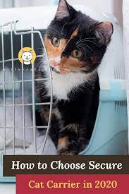 How To Choose Secure Cat Carrier In 2020 Cat Carrier Cats Cat Life Hacks