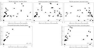Image result for FLACC Scale