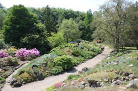 Aus einer großen speicherknolle im boden wächst ein bis um die 2 m hoher blütenstand empor, dessen… Allgemeines Zum Botanischen Garten Botanischer Garten Universitat Rostock