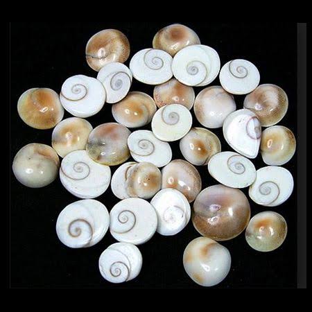 real original & natural gomati chakra product image