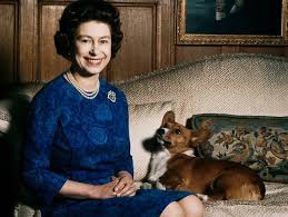 Regină a regatului unit al marii britanii și irlandei, împărăteasă a indiei etc. ViaÅ£a MinunatÄƒ A CaÅ£eilor Corgi Ai Reginei Elisabeta A Ii A ServiÅ£i De Un Valet In Vase De Argint Galerie Foto Video