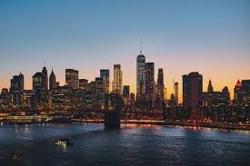 What kind of cells are found in the brain? 65 New York City Trivia Questions And Answers How Well Do You Know The Big Apple
