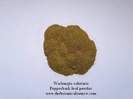 Image result for Warburgia