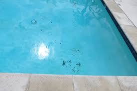 Pool Mit Verschmutzung Bild Von Palm Garden Hotel Thousand Oaks Tripadvisor