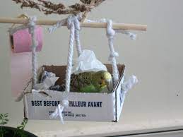 Photo By Amhr5 Homemade Bird Toys Diy Budgie Toys Diy Bird Toys