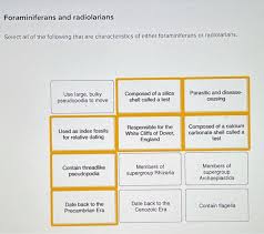 28.4: Characteristics Of Chromalveolata - Biology Libretexts