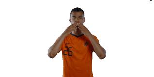 Maybe you would like to learn more about one of these? Nederlands Elftal Euro2020 Sticker By Onsoranje For Ios Android Giphy